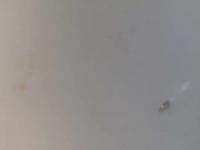 2025-08-29 07:15
