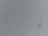 2025-10-19 10:58
