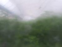 2025-08-14 06:34