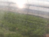 2025-04-17 10:37