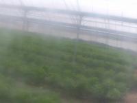 2025-04-20 07:33
