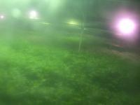 2025-06-12 01:23
