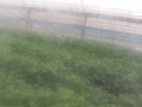2025-06-13 14:59