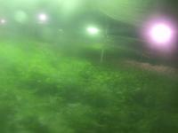 2025-07-02 03:52
