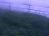 2025-07-03 04:56