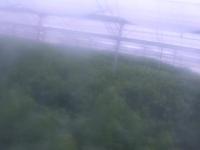 2025-07-05 19:36