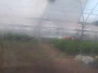 2025-07-09 08:56