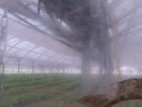 2025-07-03 11:14