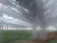 2025-07-08 05:16