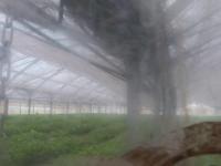 2025-07-10 12:34
