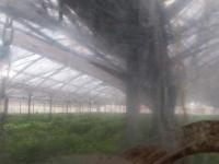 2025-07-11 16:10
