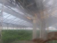 2025-07-12 05:58