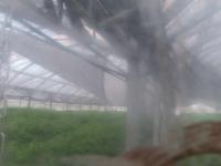 2025-08-15 11:01