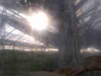 2025-08-15 17:55