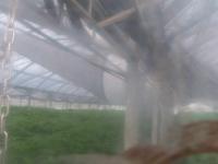 2025-08-16 07:43