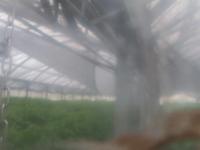 2025-08-17 18:13