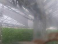 2025-08-29 06:12