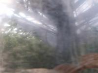 2025-10-15 16:13