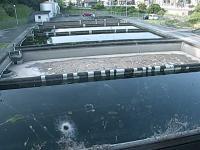 2025-07-07 17:59