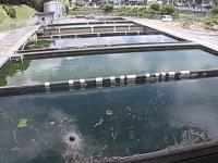 2025-07-13 11:52