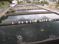 2025-07-13 18:46
