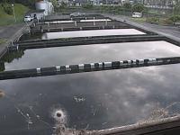 2025-07-19 05:52