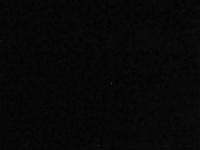 2025-06-12 04:00