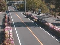 2025-04-30 08:45