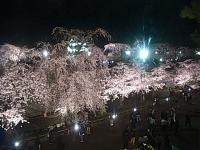 2025-04-26 20:23