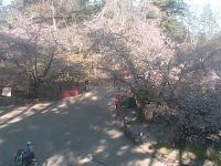 2025-05-01 06:54