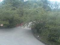 2025-06-12 07:49