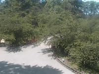 2025-06-13 08:53