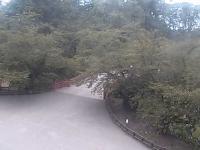 2025-07-27 11:48