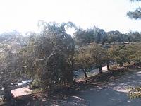 2025-07-30 15:42