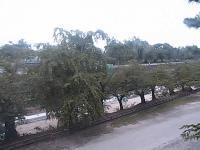 2025-07-31 05:30