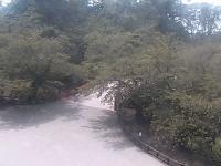 2025-07-31 12:24