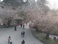 2026-04-22 17:54