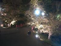 2026-04-28 20:36