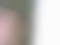 2025-07-12 07:19