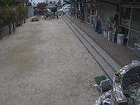 2025-06-12 11:31