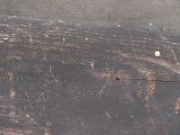 2025-07-31 14:08