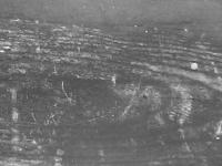 2025-08-01 10:50