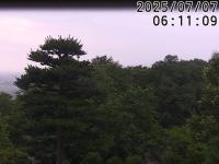 2025-07-07 06:03