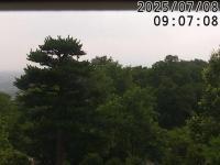 2025-07-08 08:59