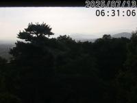 2025-07-13 06:23