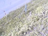 2025-06-13 08:28