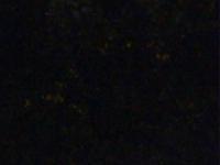 2025-08-18 00:48
