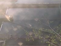 2025-04-21 05:32