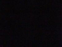 2025-08-12 04:05