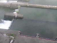 2025-08-13 14:35